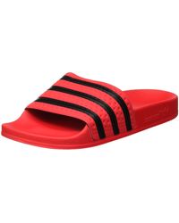 ألباني حل وثب، ارتداد adidas ciabatte nere e rosse Amazon -  spinnakercottage.com