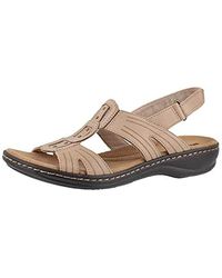 clarks whelkie beach