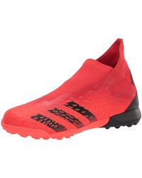 predator accelerator turf