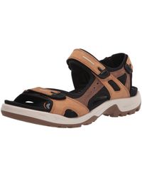 ecco cerro sandal