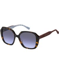 Tommy Hilfiger - Gafas de Sol TH 2105/S 086 HAVANA 54/17/140 Mujer - Lyst