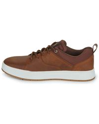 Timberland - Maple Grove Leather Ox FARBE GLAZED GINGER TALLA 44 PARA HOMBRE - Lyst