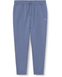 Tommy Hilfiger - TJM Slim S Flag Sweatpant Dm0Dm20473 Trainingshose - Lyst