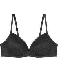 Women'secret - Acolchado helankas 1 Charming Sujetador Triangular Relleno Encaje Marengo - Lyst
