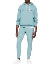 Tommy Hilfiger - Tommy Logo Hoody Mw0mw11599 Hoodies,blauw - Lyst