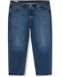 Levi's - Plus Size 501 Crop Jeans Charleston Outlasted - Lyst