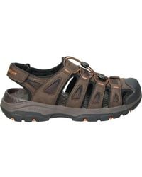 Skechers - Braun - Lyst