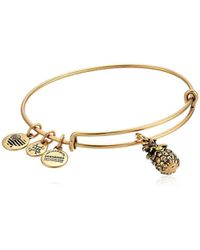 Lyst Alex And Ani Om Iii Bracelet Silver In Metallic Alex And Ani Pinele Iii Bangle Bracelet Expandable Lyst