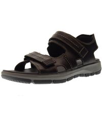 clarks mens sandals sale uk