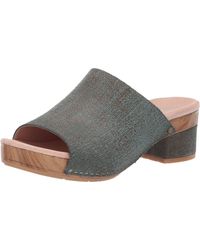 dansko maci