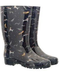 mountain warehouse excalibur