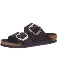 birkenstock arizona big buckle gator anthracite
