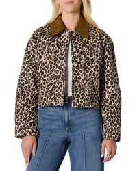 Amazon Essentials - Oversize-Jeansjacke Mit Kontrastierendem Kragen - Lyst