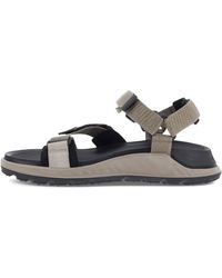 ECCO Men's Mx Onshore 3-Strap Water Friendly Algeria