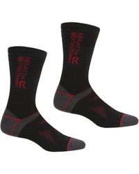 Regatta S 2 Pack Merino Wool Hiker Walking Socks - Grey