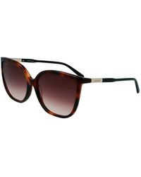 Lacoste - L963s Butterfly Sunglasses - Lyst