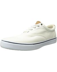 sperry striper cvo salt washed twill sneaker