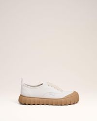 Ami Paris - Cotton Low Top Tempo Canvas Sneakers - Lyst
