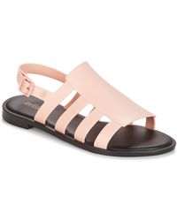 Melissa Sandales - Rose