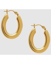 Anine Bing - Small Tubular Oval Hoop Earrings - Lyst