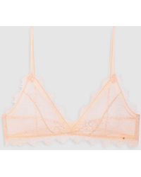 Anine Bing - Lace Bra With Trim - Lyst