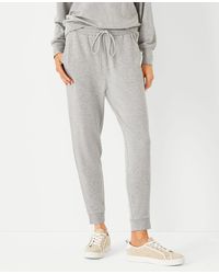 Ann Taylor Track pants and jogging 