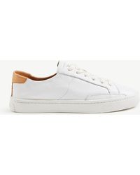 Ann Taylor Low-top sneakers for Women 