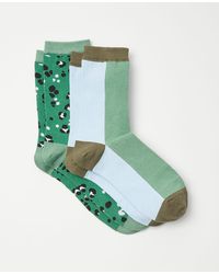 Ann Taylor Animal Print & Colorblock Trouser Sock Set - Green