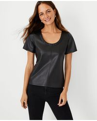 ann taylor scoop neck tee