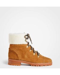 ann taylor boots sale