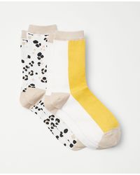 Ann Taylor Animal Print & Colorblock Trouser Sock Set - White