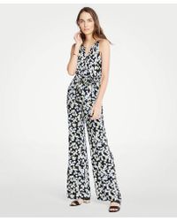 ann taylor floral jumpsuit