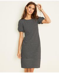 ann taylor prom dresses