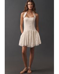 Maeve - Lace Halter Drop-Waist Mini Dress - Lyst