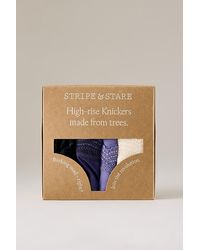 Stripe & Stare - High-Rise Knickers, 4 Pack - Lyst