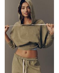 Daily Practice - Washed To Shore Cotton Cropped Sweatshirt - Lyst