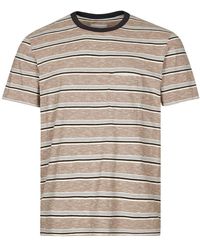 Albam T-shirt Heritage Stripe - Brown