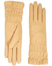 aquatalia gloves