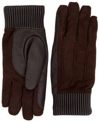aquatalia gloves