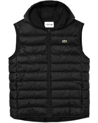 Lacoste sleeveless jacket Clearance