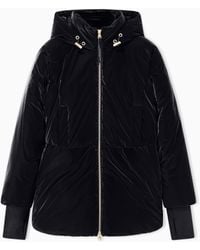 ARMANI EXCHANGE - Lightweight Blouson Jacket With Velvet Effect - Lyst