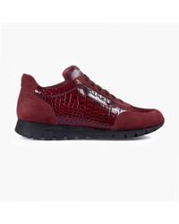 Armos - Croc-Embossed Leather Sneaker - Lyst
