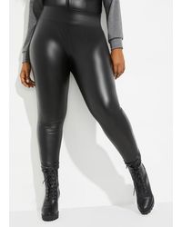 ashley stewart pants