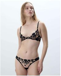 Bluebella - Marian Emboidered Brief - Lyst