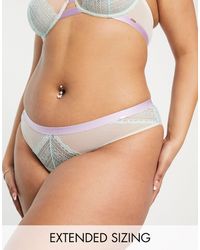 DORINA - Ilaria Lace And Mesh Cheeky Hipster Brief - Lyst