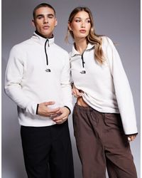 The North Face - Glacier 1/4 Zip Central Logo Fleece - Lyst