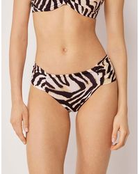 Calzedonia - Bikini Bottoms Savannah Zebra - Lyst