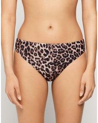 Tezenis - Wild Soul Classic Bikini Bottoms - Lyst