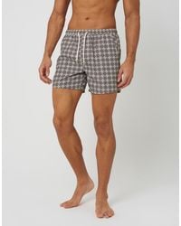 Brave Soul - Printed Swim Shorts - Lyst