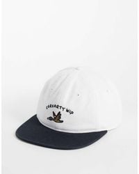 Carhartt - Animated Ducks Logo Cap With Contrast Peak - Lyst